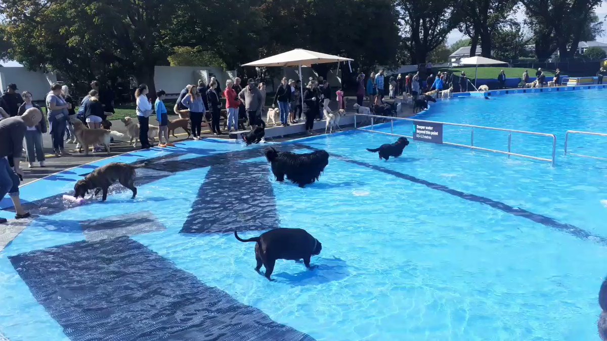 Pictiúr ó twitter.com