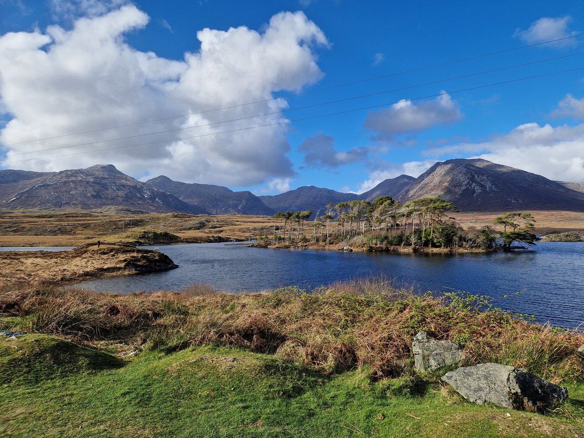 Pictiúr ó twitter.com