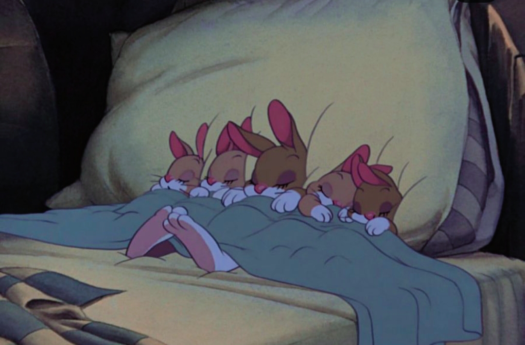 Pictiúr ó twitter.com